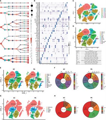 Frontiers An Integrative Analysis Of Single Cell And Bulk